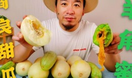 吃瓜群众和网红,揭秘网络舆论场的双面魅力