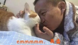 抖音网红猫吃瓜是真的吗,真相揭秘还是网络炒作？